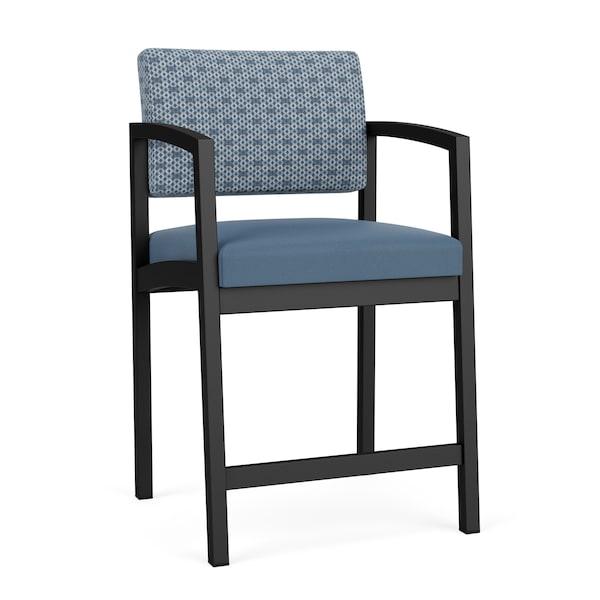 Lesro Lenox Steel Hip Chair Metal Frame, Black, RS Rain Song Back, MD Titan Seat LS1161 - main